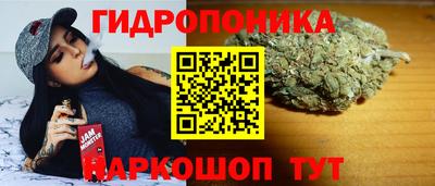spice Гусиноозёрск