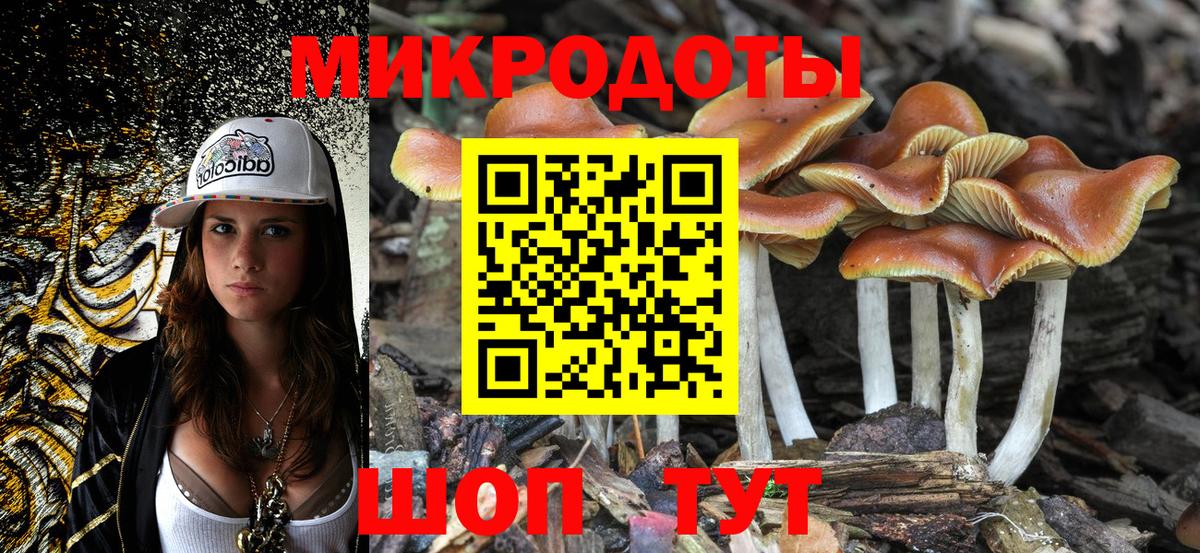 Галлюциногенные грибы GOLDEN TEACHER  Псилоцибиновые грибы Magic Shrooms  где найти   Вход с VPN  Красноярск 